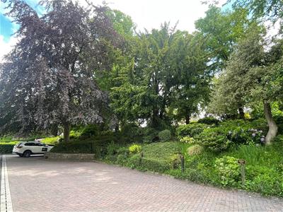 Picture 30